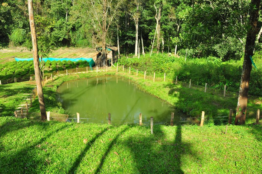 The Woods Resorts Wayanad Sultan Bathery Extérieur photo