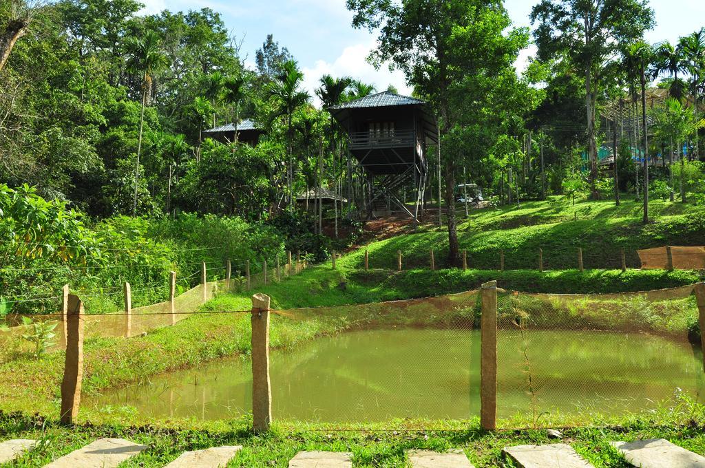 The Woods Resorts Wayanad Sultan Bathery Extérieur photo