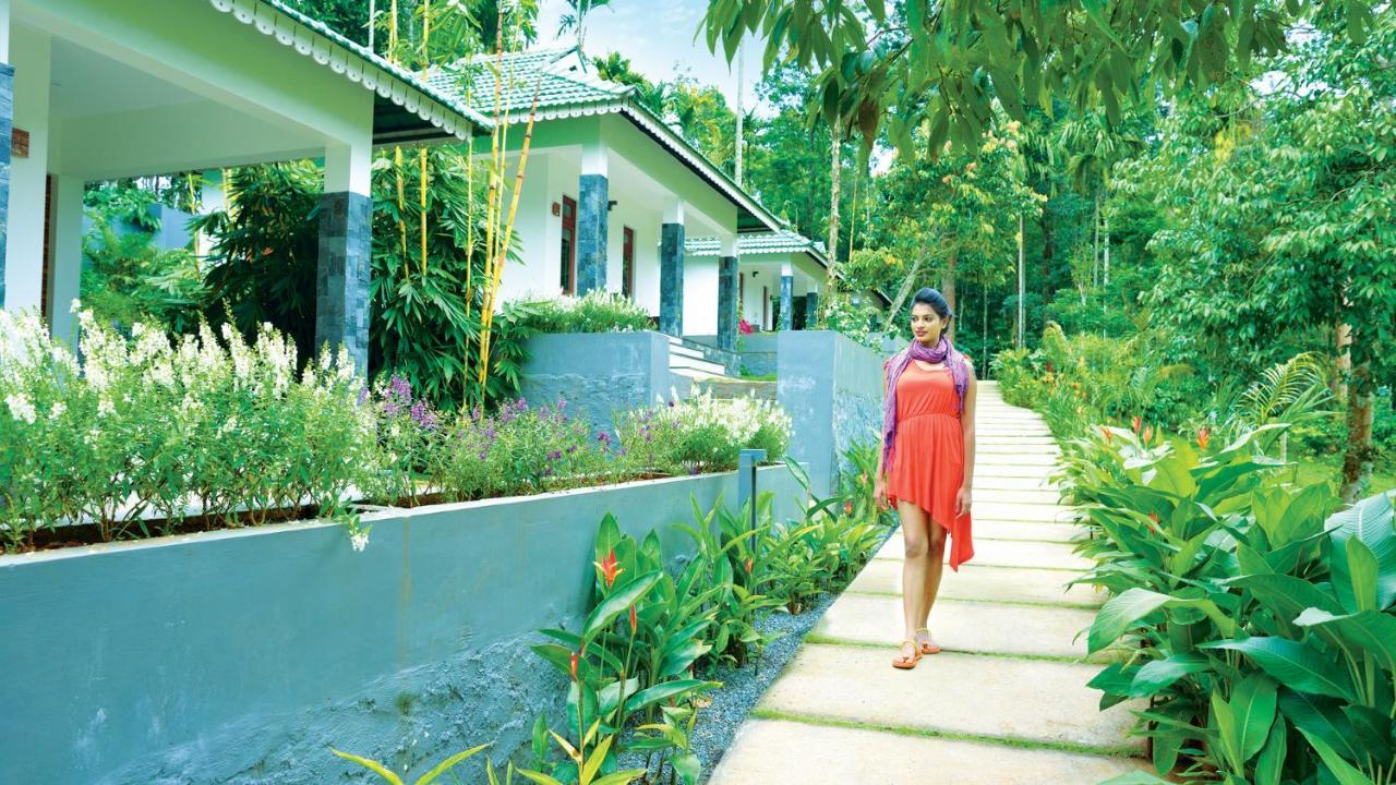 The Woods Resorts Wayanad Sultan Bathery Extérieur photo