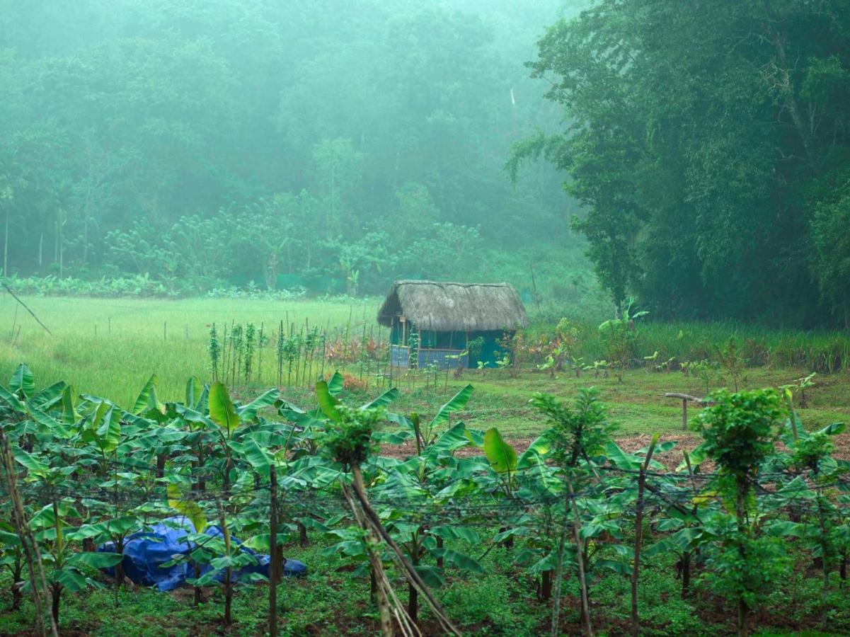 The Woods Resorts Wayanad Sultan Bathery Extérieur photo