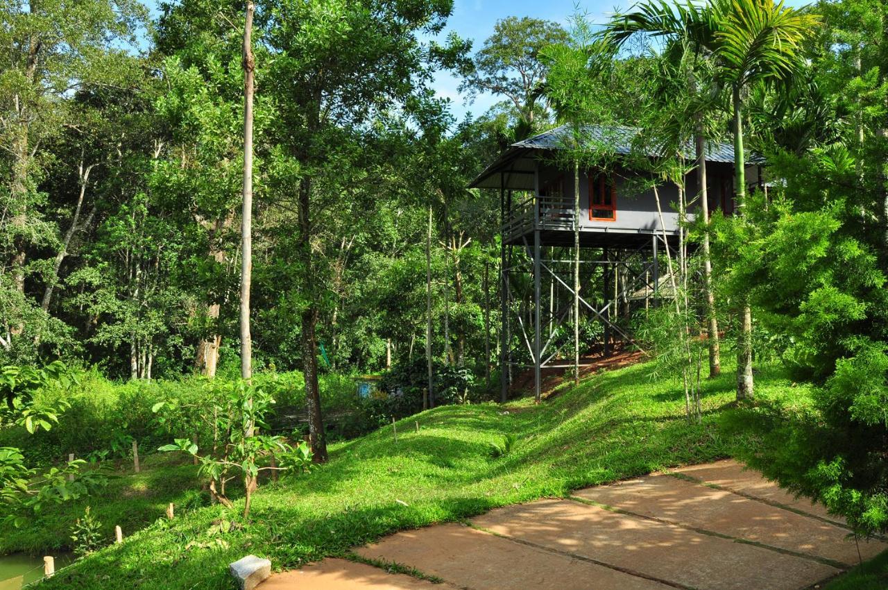 The Woods Resorts Wayanad Sultan Bathery Extérieur photo