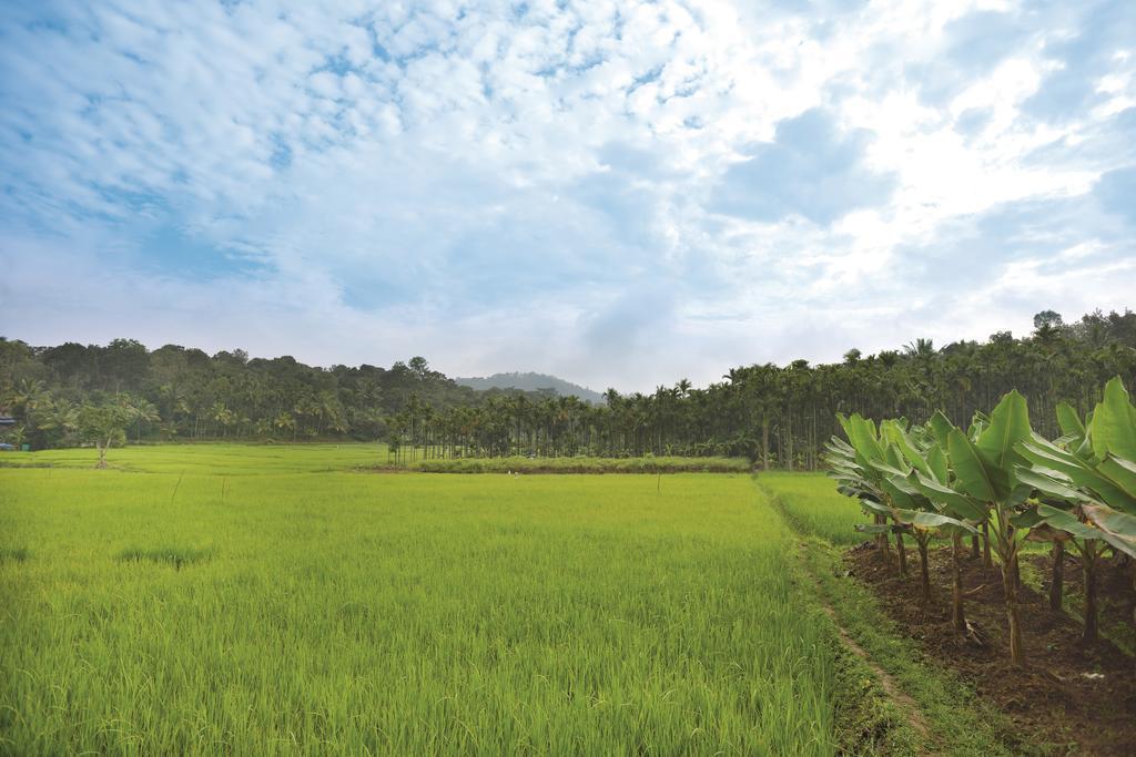 The Woods Resorts Wayanad Sultan Bathery Extérieur photo