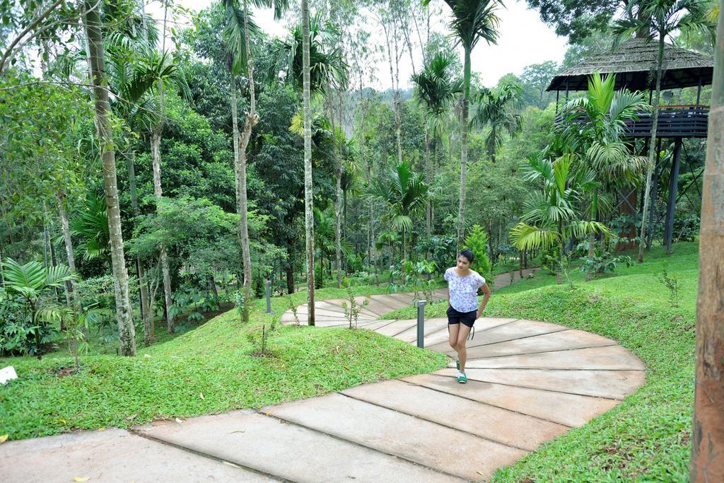 The Woods Resorts Wayanad Sultan Bathery Extérieur photo
