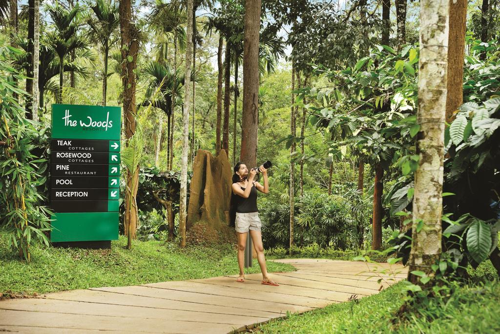 The Woods Resorts Wayanad Sultan Bathery Extérieur photo