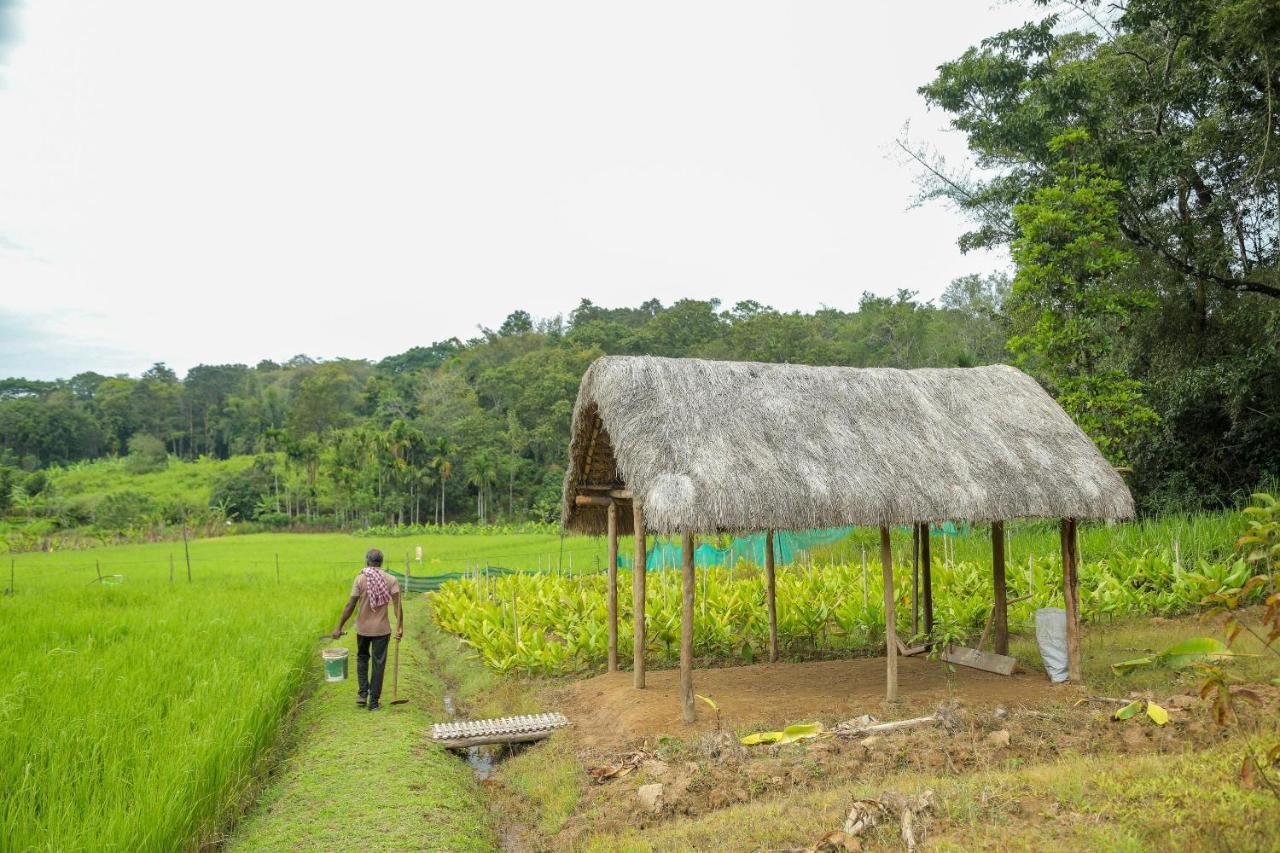 The Woods Resorts Wayanad Sultan Bathery Extérieur photo